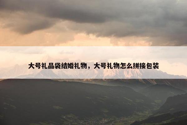 大号礼品袋结婚礼物，大号礼物怎么拼接包装