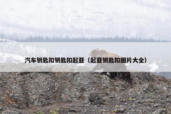 汽车钥匙扣钥匙扣起亚(起亚钥匙扣图片大全) 汽车钥匙扣钥匙扣起亚(起亚钥匙扣图片大全)