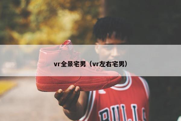vr全景宅男（vr左右宅男）