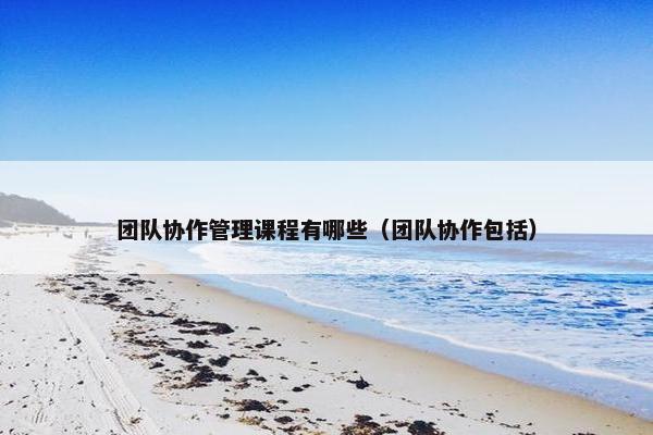 团队协作管理课程有哪些（团队协作包括）
