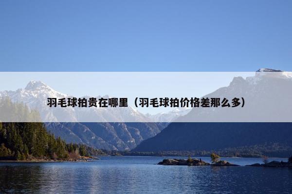 羽毛球拍贵在哪里（羽毛球拍价格差那么多）