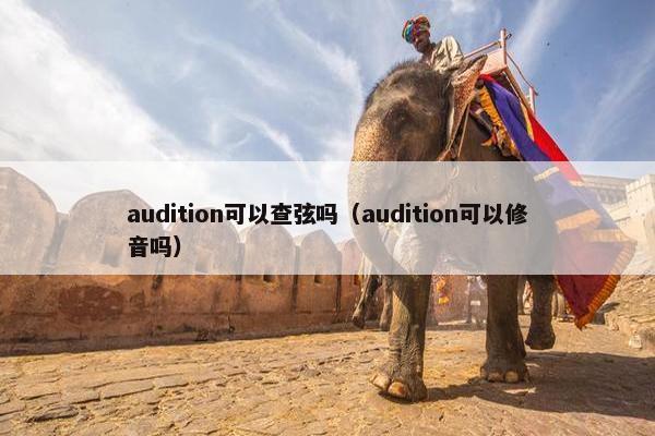 audition可以查弦吗（audition可以修音吗）
