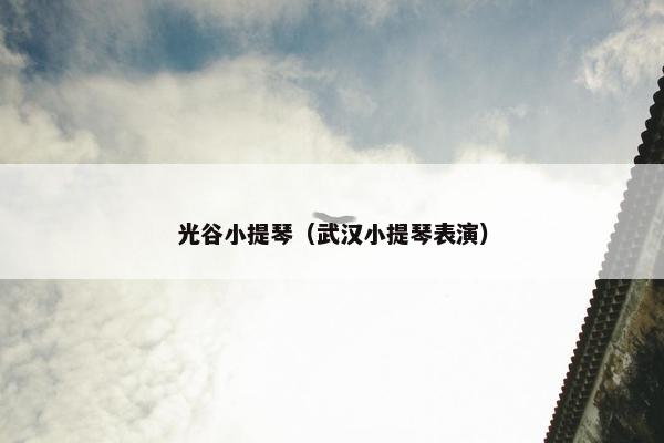 光谷小提琴（武汉小提琴表演）