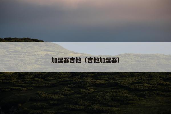 加湿器吉他(吉他加湿器) 加湿器吉他(吉他加湿器)