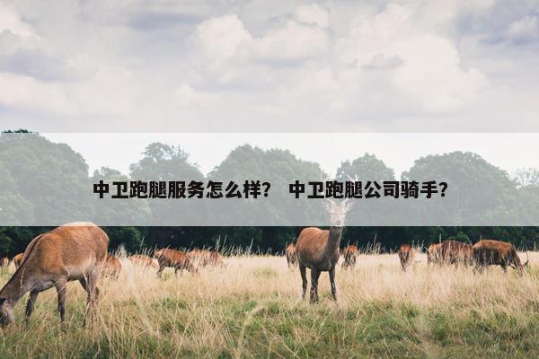 中卫跑腿服务怎么样? 中卫跑腿公司骑手? 中卫跑腿服务怎么样? 中卫跑腿公司骑手?