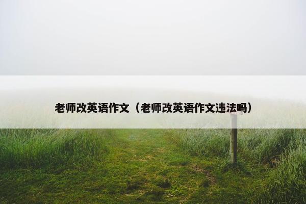 老师改英语作文（老师改英语作文违法吗）