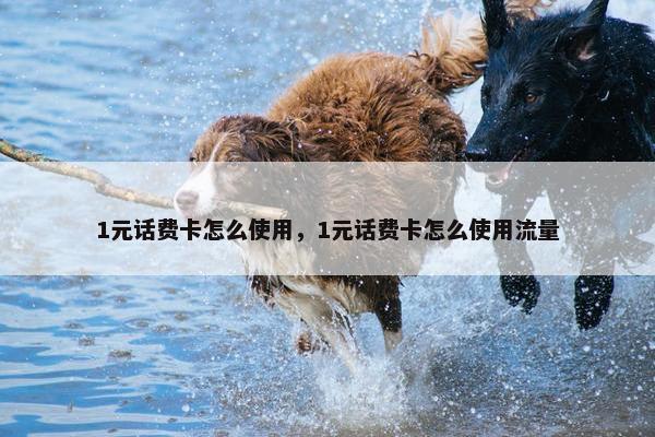 1元话费卡怎么使用，1元话费卡怎么使用流量