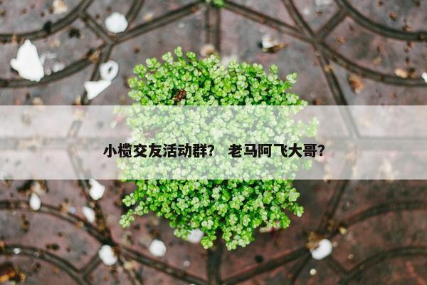 小榄交友活动群？ 老马阿飞大哥？