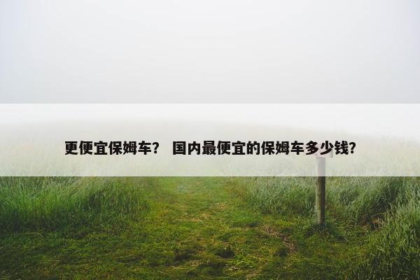 更便宜保姆车？ 国内最便宜的保姆车多少钱？