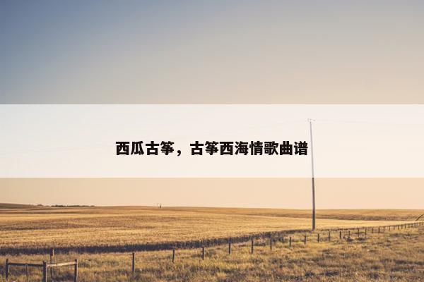 西瓜古筝，古筝西海情歌曲谱