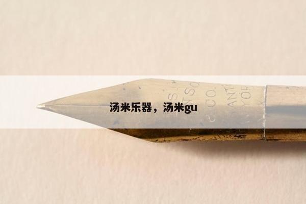 汤米乐器，汤米gu