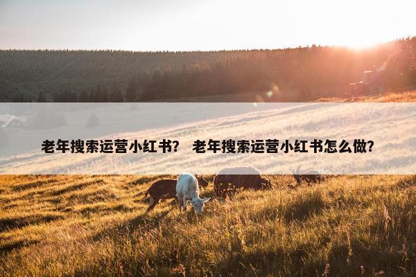 老年搜索运营小红书？ 老年搜索运营小红书怎么做？