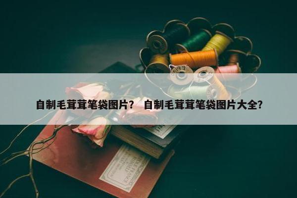 自制毛茸茸笔袋图片？ 自制毛茸茸笔袋图片大全？
