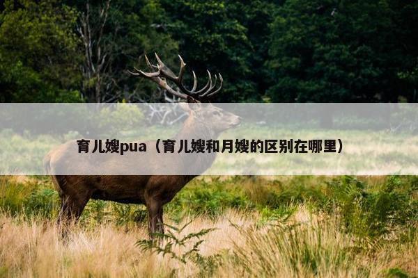 育儿嫂pua(育儿嫂和月嫂的区别在哪里) 育儿嫂pua(育儿嫂和月嫂的区别在哪里)