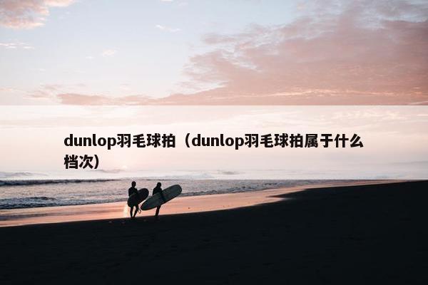 dunlop羽毛球拍(dunlop羽毛球拍属于什么档次) dunlop羽毛球拍(dunlop羽毛球拍属于什么档次)