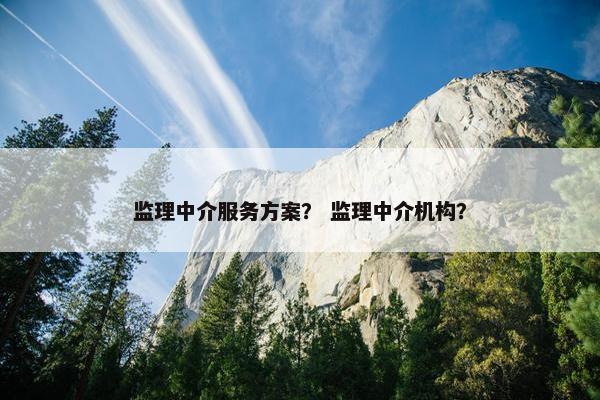 监理中介服务方案? 监理中介机构? 监理中介服务方案? 监理中介机构?