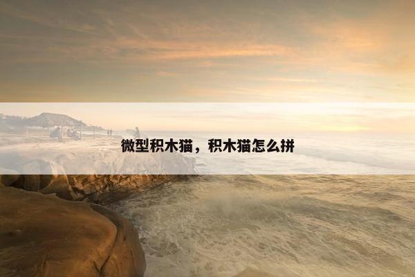 微型积木猫，积木猫怎么拼