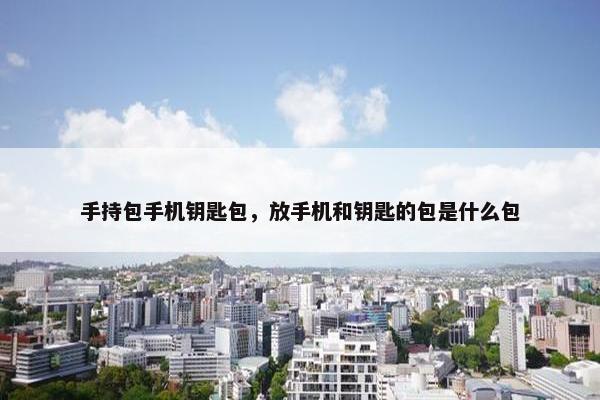 手持包手机钥匙包,放手机和钥匙的包是什么包 手持包手机钥匙包,放手机和钥匙的包是什么包