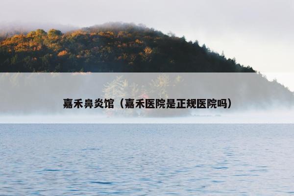 嘉禾鼻炎馆（嘉禾医院是正规医院吗）