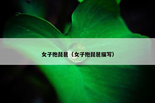 女子抱琵琶（女子抱琵琶描写）