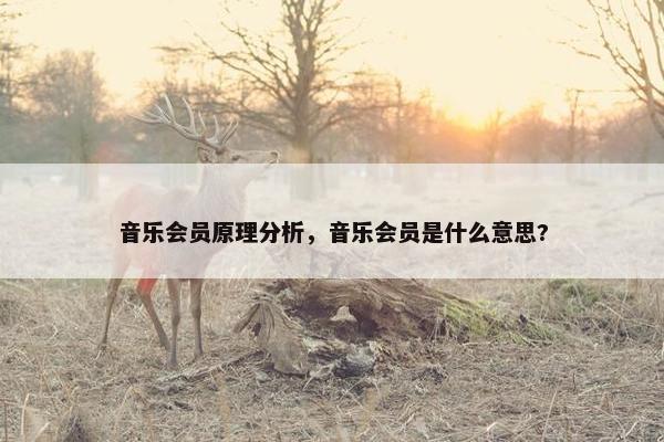 音乐会员原理分析,音乐会员是什么意思? 音乐会员原理分析,音乐会员是什么意思?