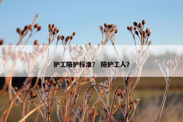 护工陪护标准? 陪护工人? 护工陪护标准? 陪护工人?