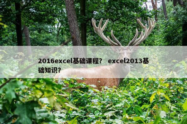 2016excel基础课程? excel2013基础知识? 2016excel基础课程? excel2013基础知识?