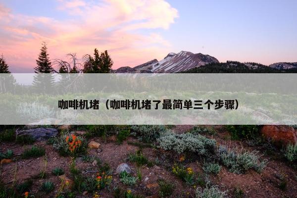 咖啡机堵（咖啡机堵了最简单三个步骤）