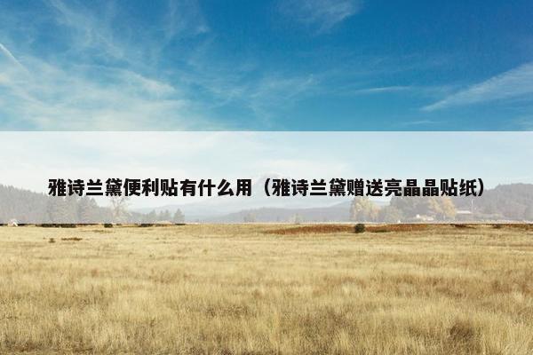 雅诗兰黛便利贴有什么用（雅诗兰黛赠送亮晶晶贴纸）