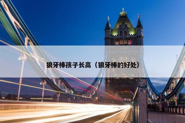 狼牙棒孩子长高(狼牙棒的好处) 狼牙棒孩子长高(狼牙棒的好处)