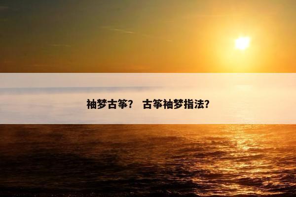 袖梦古筝? 古筝袖梦指法? 袖梦古筝? 古筝袖梦指法?