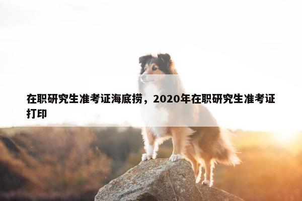 在职研究生准考证海底捞,2020年在职研究生准考证打印 在职研究生准考证海底捞,2020年在职研究生准考证打印