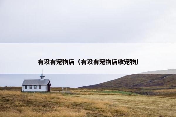 有没有宠物店（有没有宠物店收宠物）