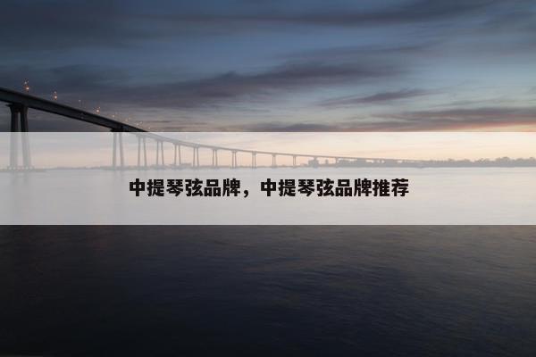 中提琴弦品牌,中提琴弦品牌推荐 中提琴弦品牌,中提琴弦品牌推荐