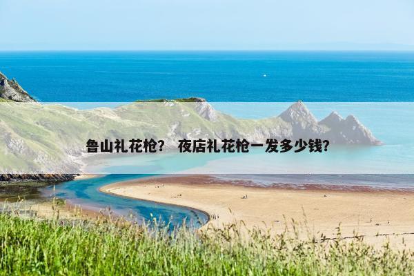 鲁山礼花枪？ 夜店礼花枪一发多少钱？