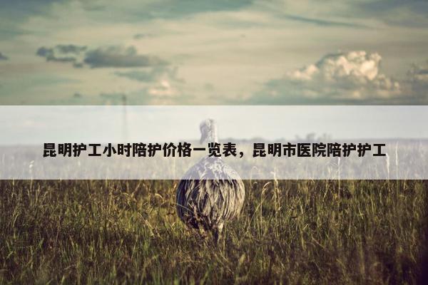昆明护工小时陪护价格一览表,昆明市医院陪护护工 昆明护工小时陪护价格一览表,昆明市医院陪护护工
