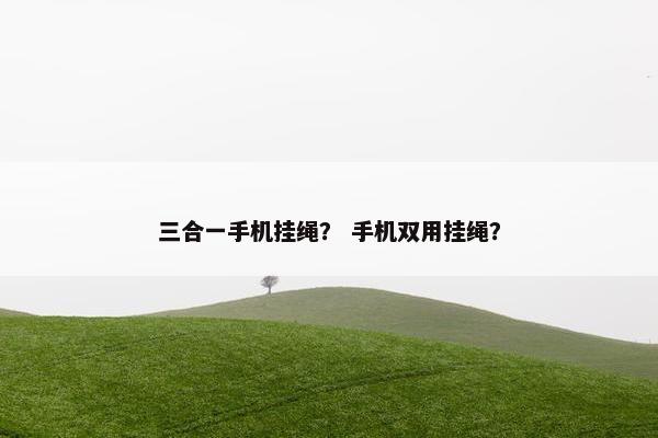 三合一手机挂绳？ 手机双用挂绳？