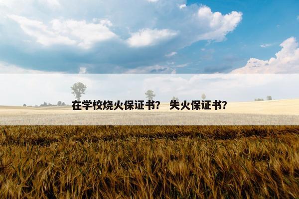 在学校烧火保证书？ 失火保证书？