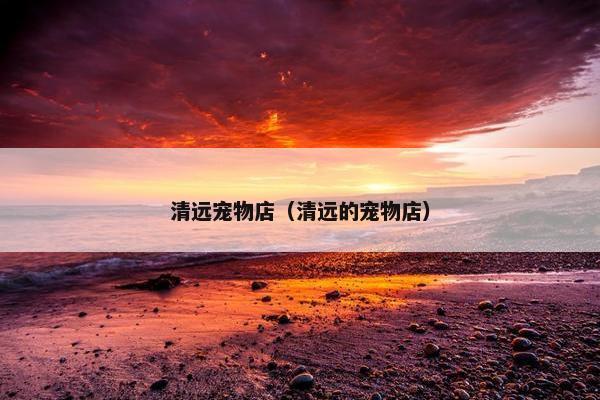 清远宠物店(清远的宠物店) 清远宠物店(清远的宠物店)