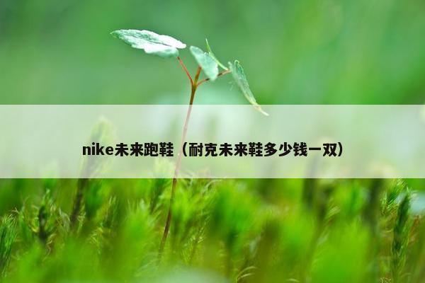 nike未来跑鞋(耐克未来鞋多少钱一双) nike未来跑鞋(耐克未来鞋多少钱一双)