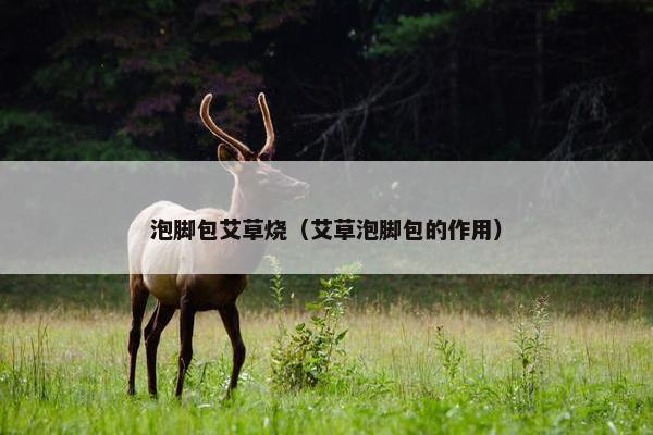 泡脚包艾草烧（艾草泡脚包的作用）