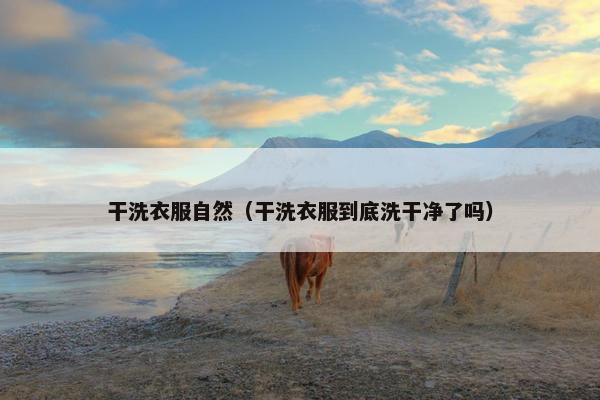 干洗衣服自然（干洗衣服到底洗干净了吗）