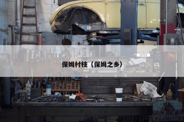 保姆村枝（保姆之乡）