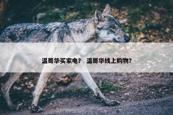 温哥华买家电？ 温哥华线上购物？