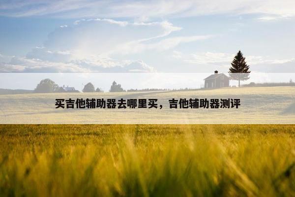 买吉他辅助器去哪里买，吉他辅助器测评