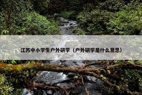 江苏中小学生户外研学（户外研学是什么意思）