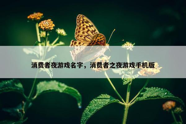 消费者夜游戏名字，消费者之夜游戏手机版