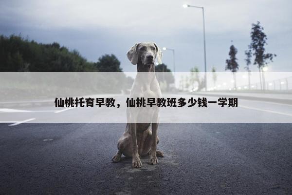 仙桃托育早教，仙桃早教班多少钱一学期