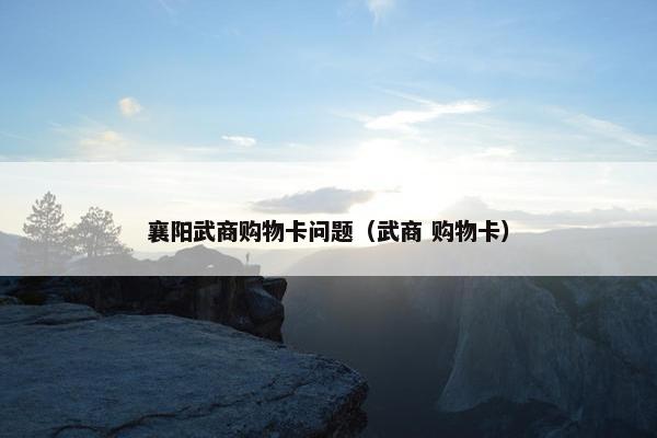 襄阳武商购物卡问题（武商 购物卡）