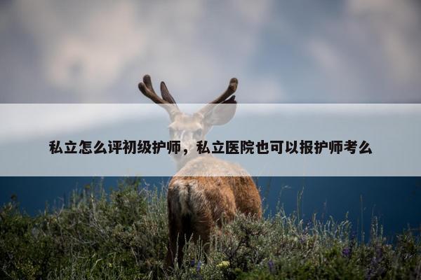 私立怎么评初级护师，私立医院也可以报护师考么